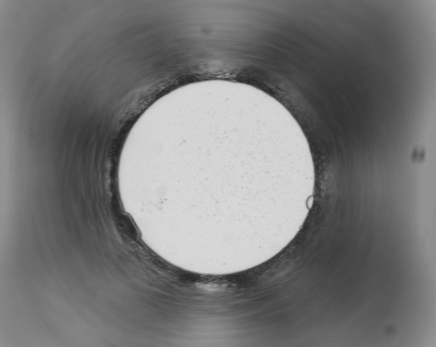 X0000112940693200910051156