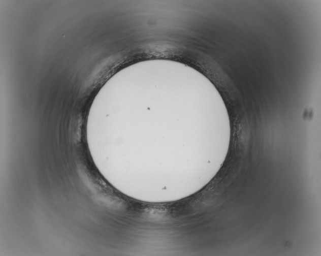 X0000112940694200910051156