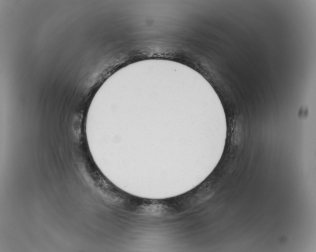 X0000112940695200910051156