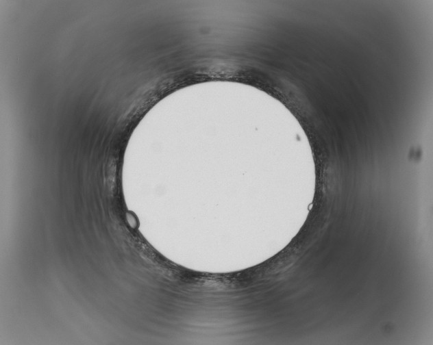 X0000112940697200910051156