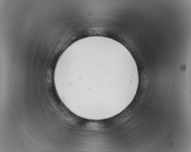 X0000112940699200910051156