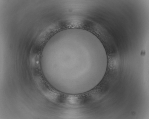 X0000112940701200910051156