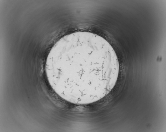 X0000112940703200910051156