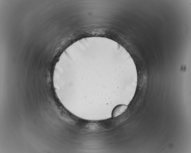 X0000112940704200910051156