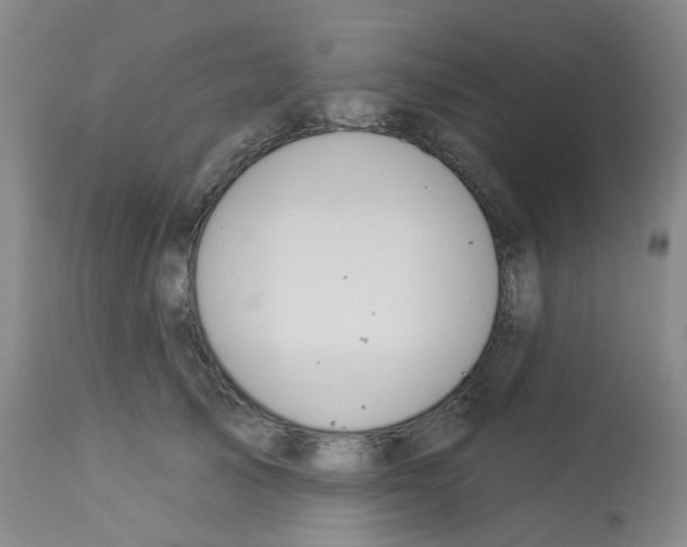 X0000112940705200910051156