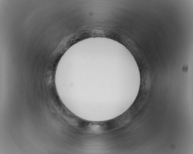 X0000112940706200910051156