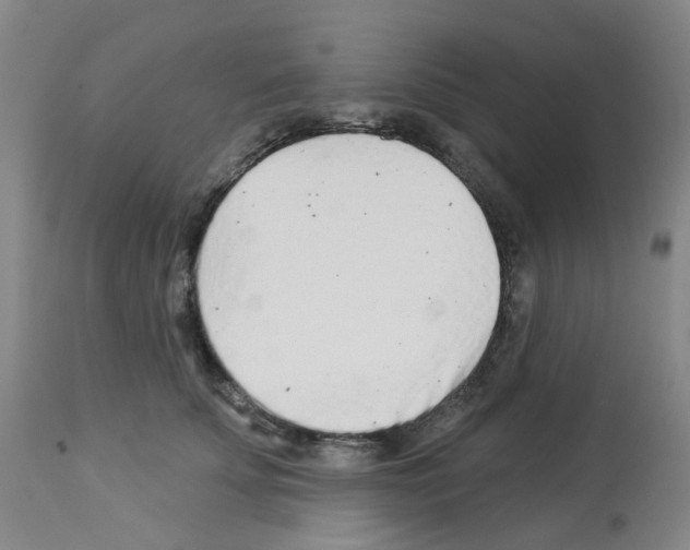 X0000112940707200910051156