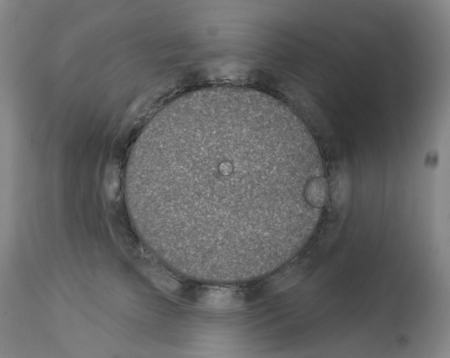 X0000112940709200910051156