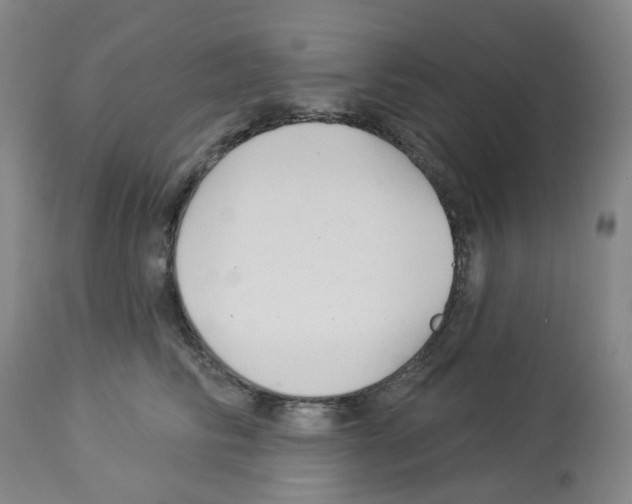 X0000112940710200910051156