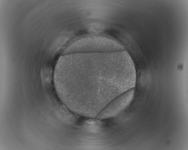 X0000112940712200910051155