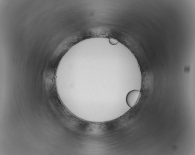 X0000112940713200910051155