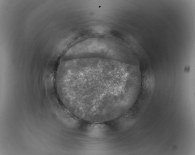 X0000112940716200910051155