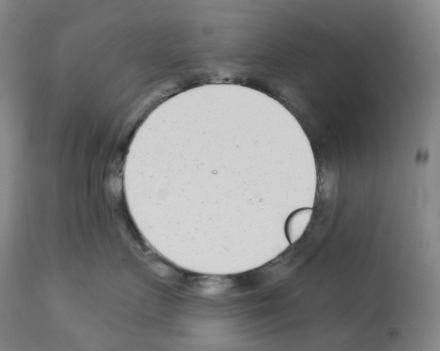 X0000112940719200910051155