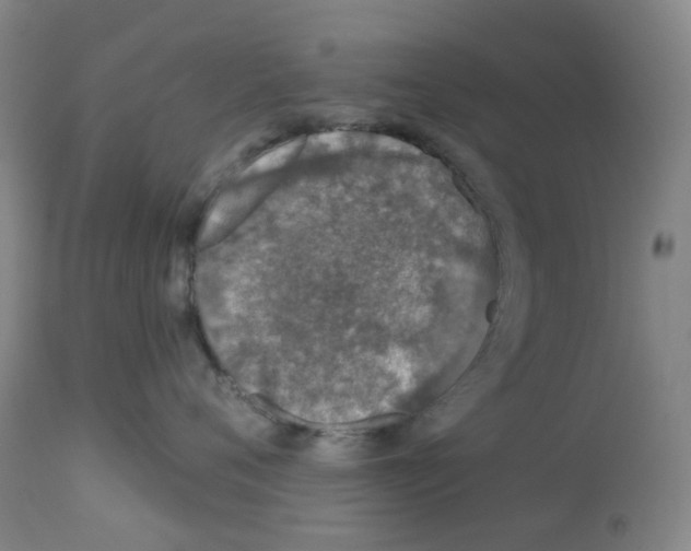 X0000112940720200910051155