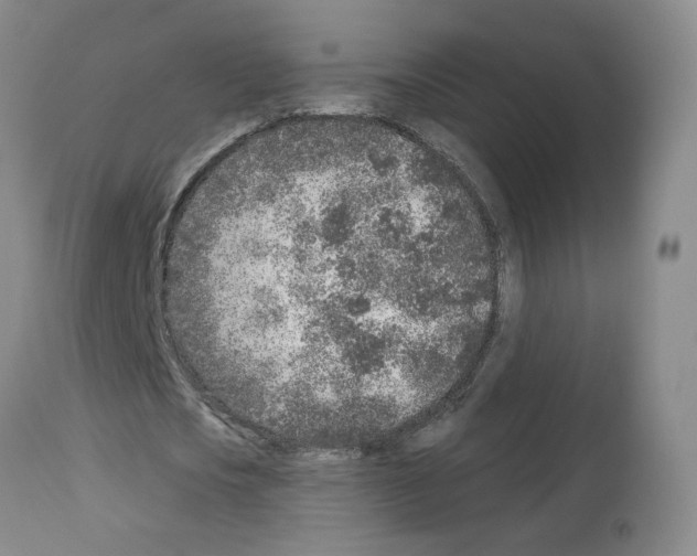 X0000112940721200910051155