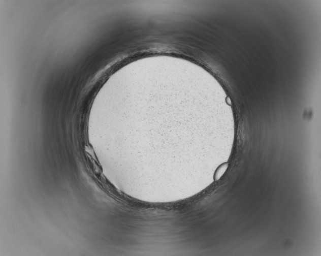 X0000112940722200910051155