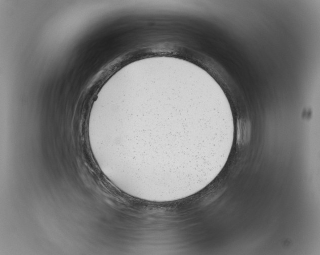 X0000112940723200910051155