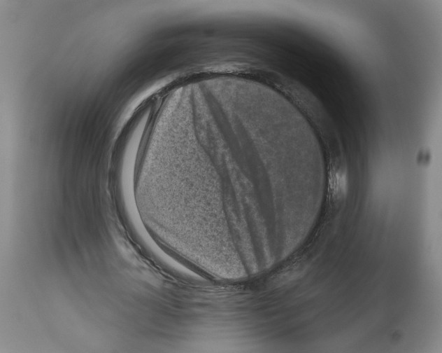 X0000112940724200910051155