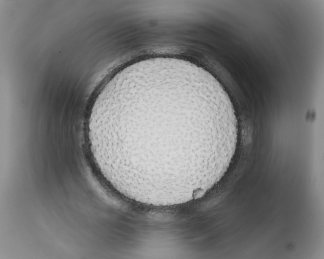 X0000112940725200910051155