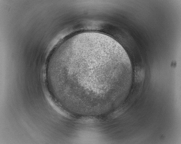 X0000112940726200910051155