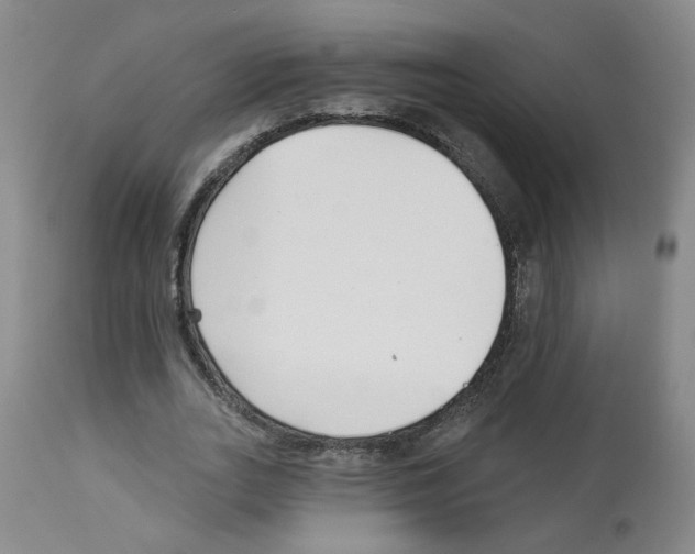 X0000112940727200910051155