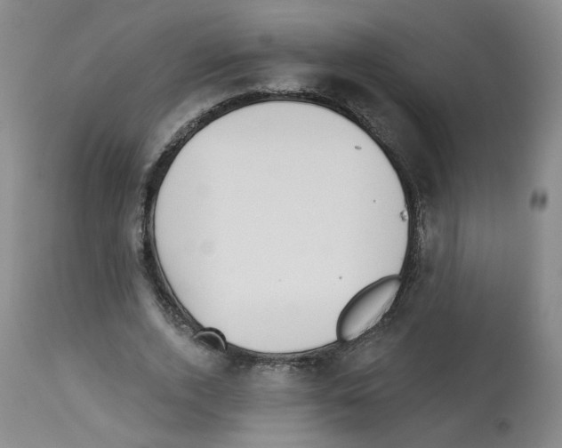 X0000112940728200910051155