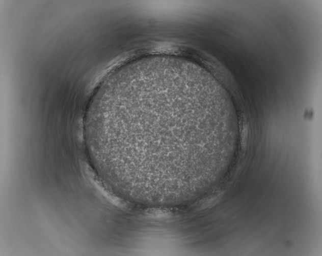 X0000112940729200910051155