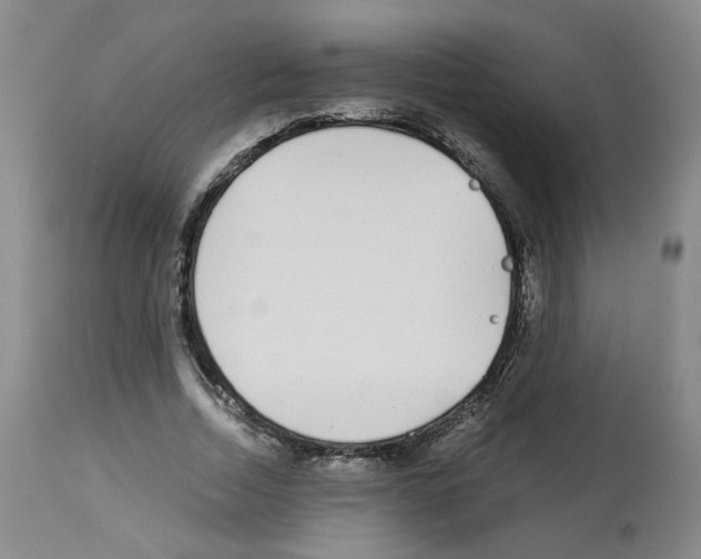 X0000112940730200910051155