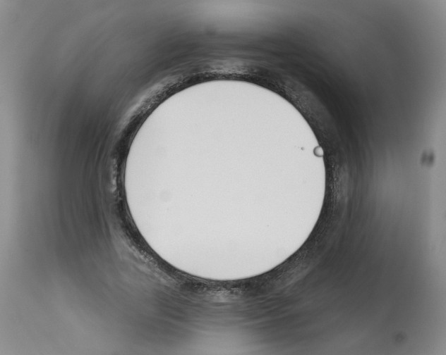 X0000112940731200910051155