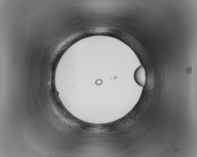 X0000112940732200910051155