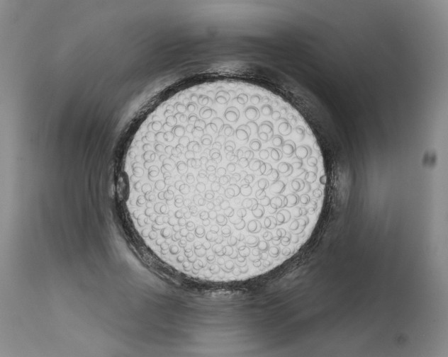 X0000112940734200910051155