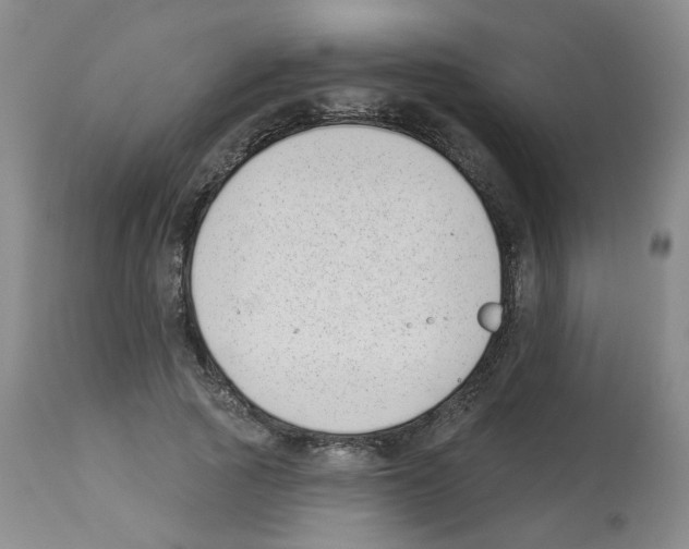 X0000112940737200910051155