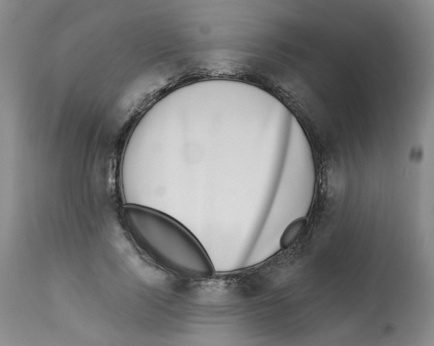 X0000112940740200910051155