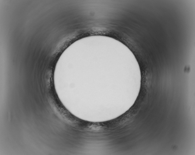 X0000112940742200910051155