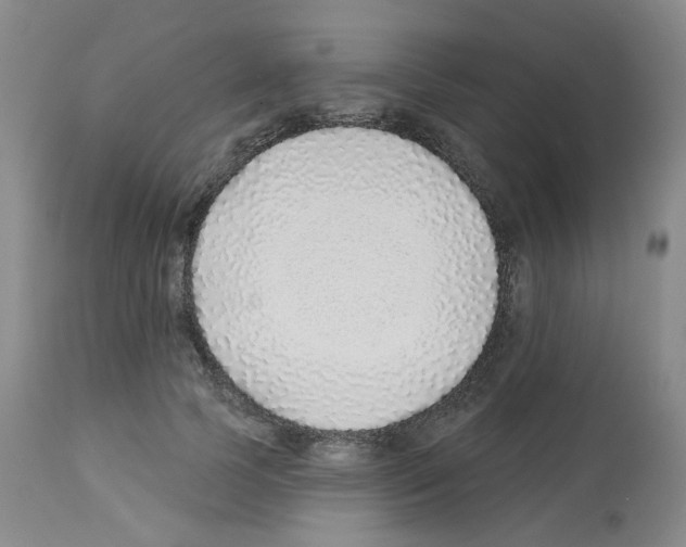 X0000112940745200910051155
