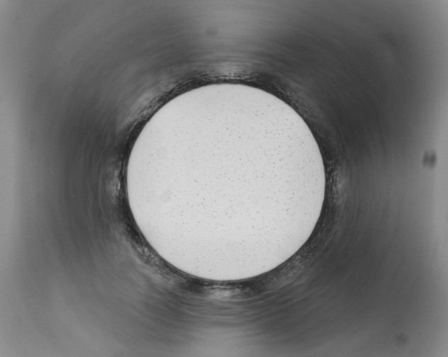 X0000112940746200910051155