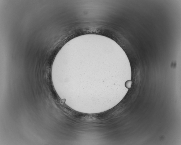 X0000112940747200910051155