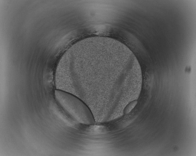 X0000112940748200910051155