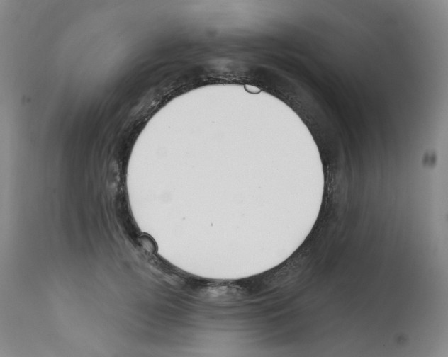 X0000112940752200910051155