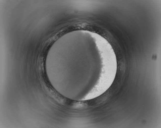 X0000112940754200910051155