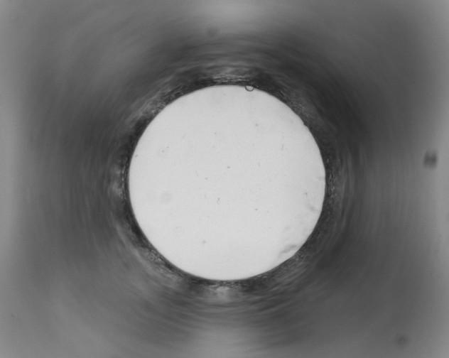 X0000112940755200910051155