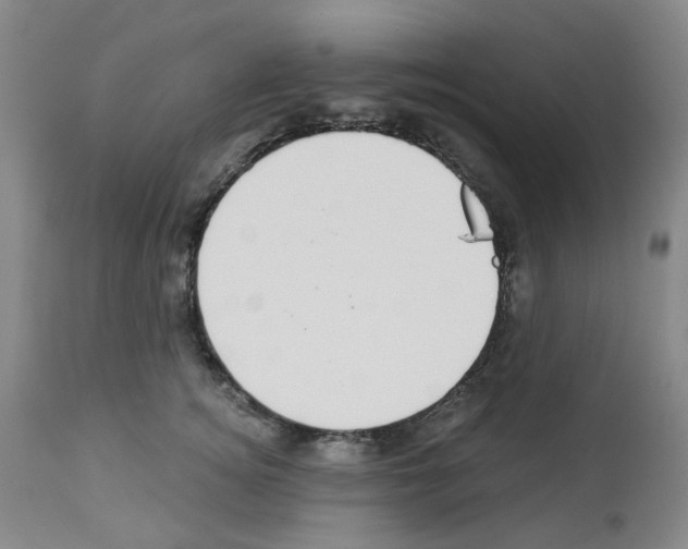 X0000112940756200910051155