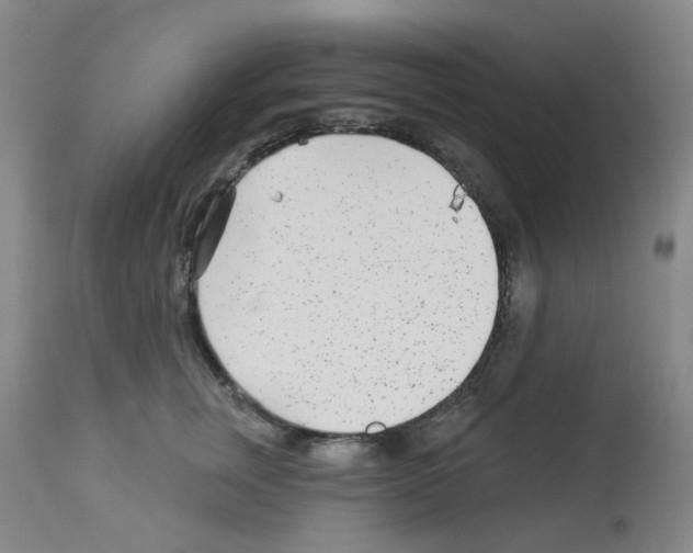 X0000112940759200910051155