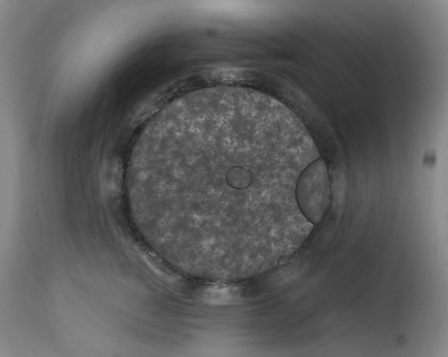 X0000112940760200910051155