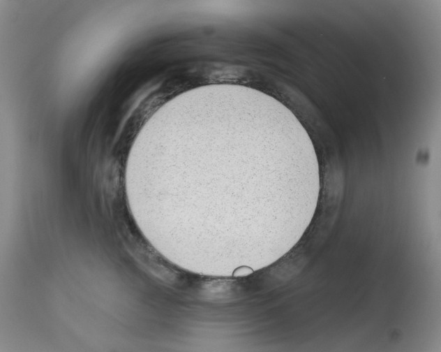 X0000112940761200910051155