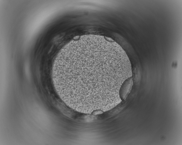 X0000112940762200910051155