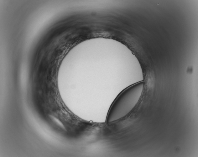 X0000112940764200910051155