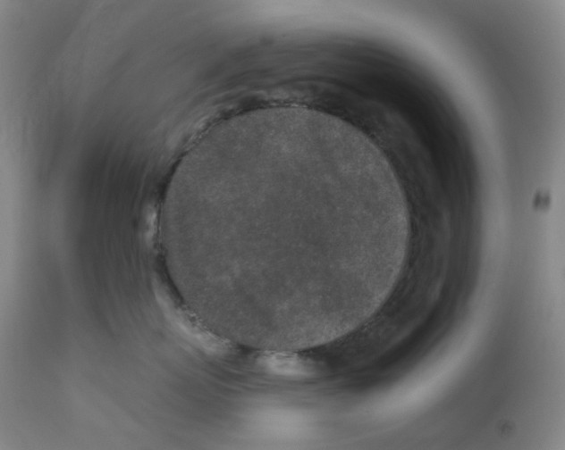 X0000112940767200910051155