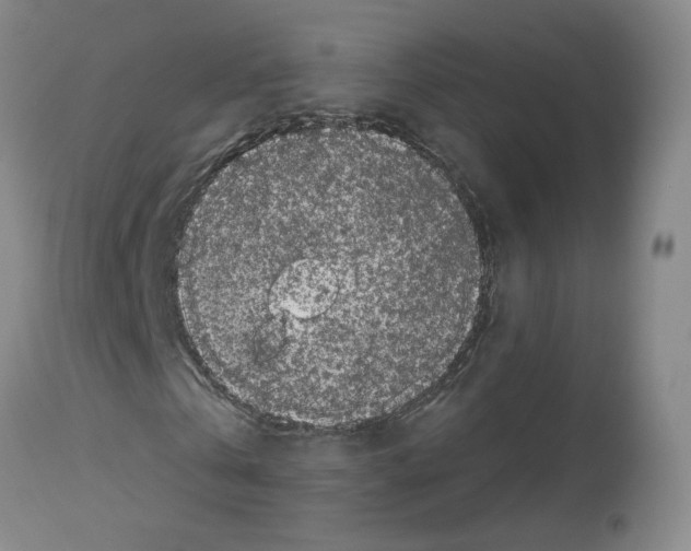 X0000112940769200910051155