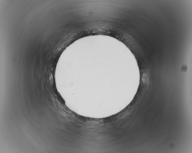 X0000112940771200910051155